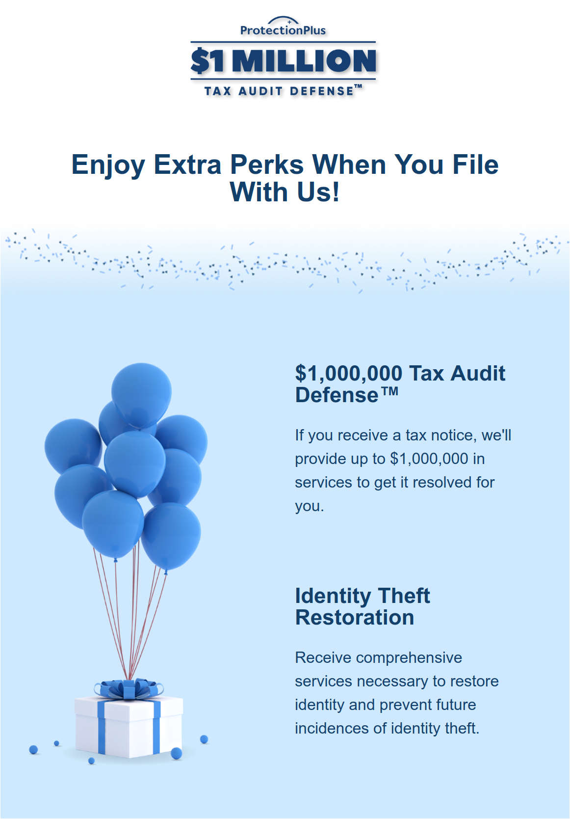 ProtectionPlus Audit Defense flyer
